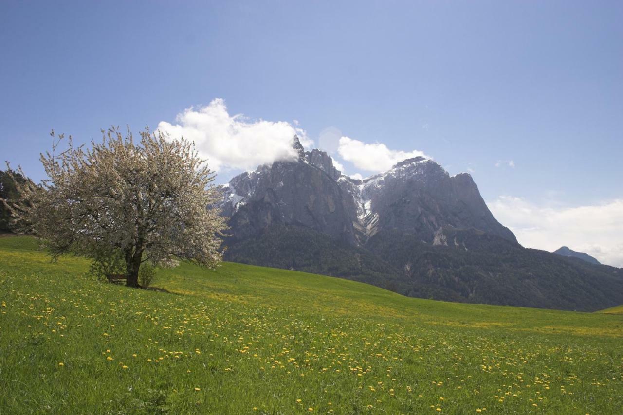 Tomasoethof Villa Castelrotto Exteriör bild